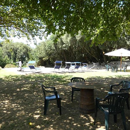 Willa Scappo In Umbria, Casale Monti Montoro  Zewnętrze zdjęcie