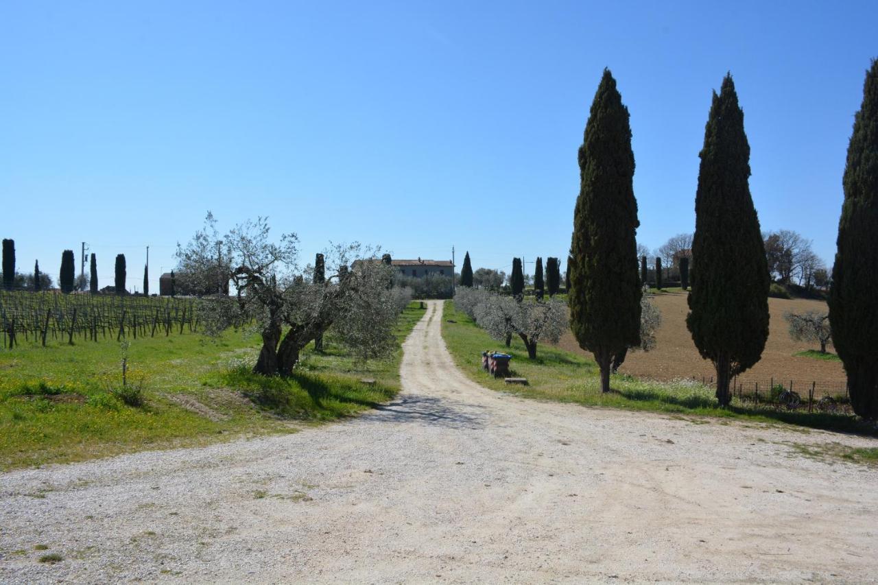 Willa Scappo In Umbria, Casale Monti Montoro  Zewnętrze zdjęcie